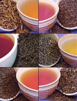 Лучшие сорта чай китайский: посадка и уход
